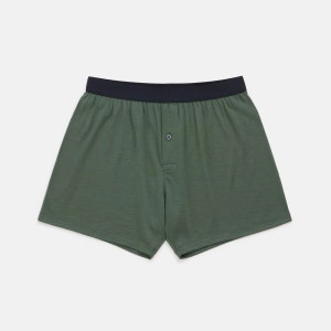 Boxer