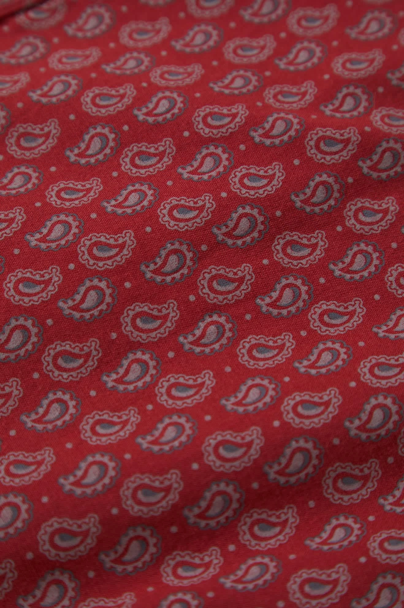 Charter Print S/S Shirt - Rust Red/Paisley