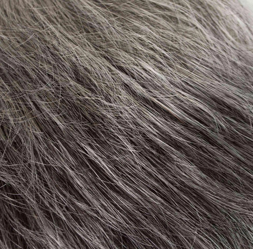 Lily Wig by Tony of Beverly | Synthetic Wig (Traditional Cap)