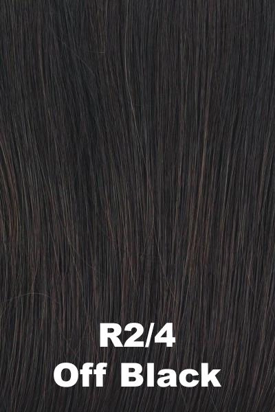 Raquel Welch Wigs - Flirting With Fashion